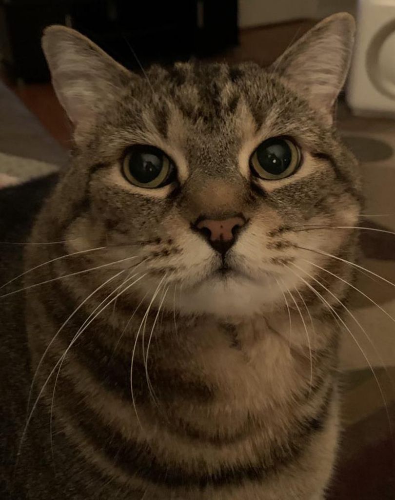 Mojo Wynkoop Profile Photo