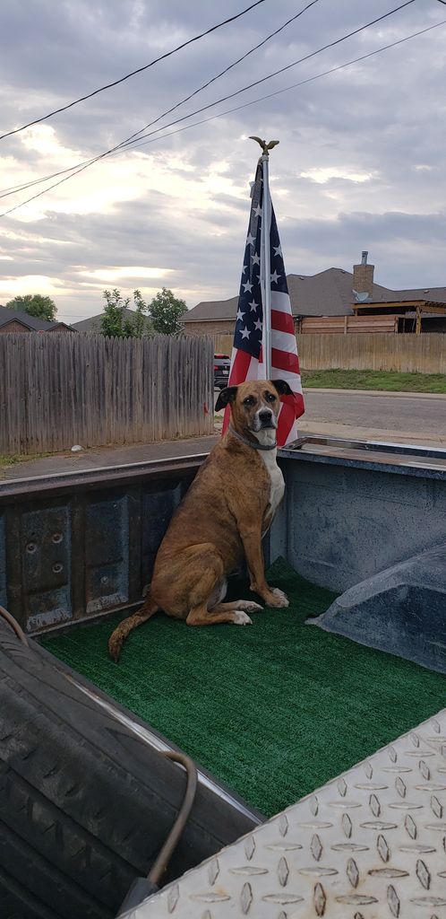 Harley Urenda Profile Photo