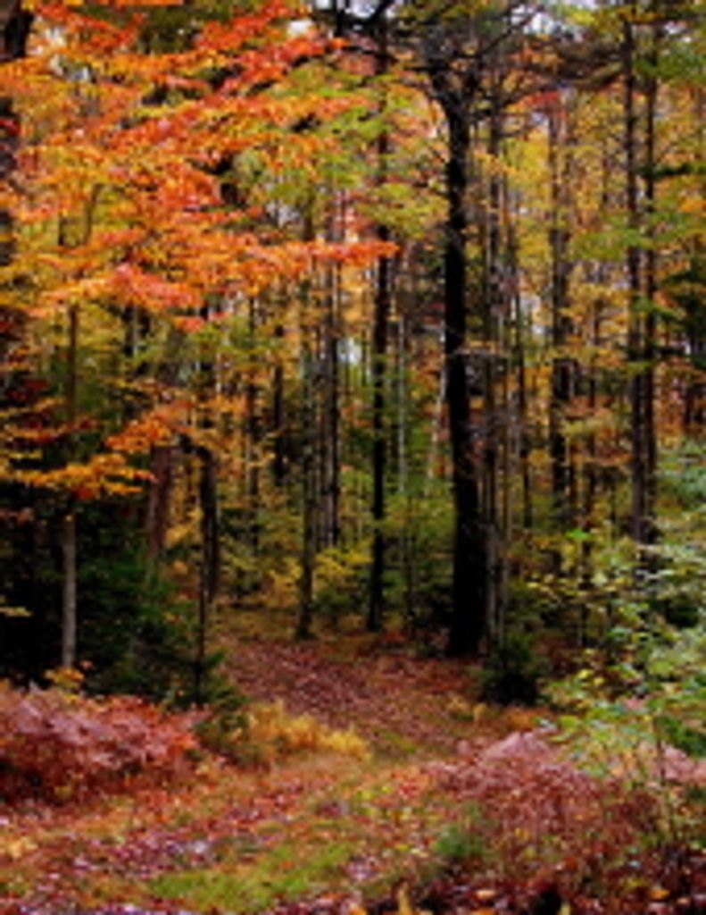 Paul R.V. Lombardo Profile Photo