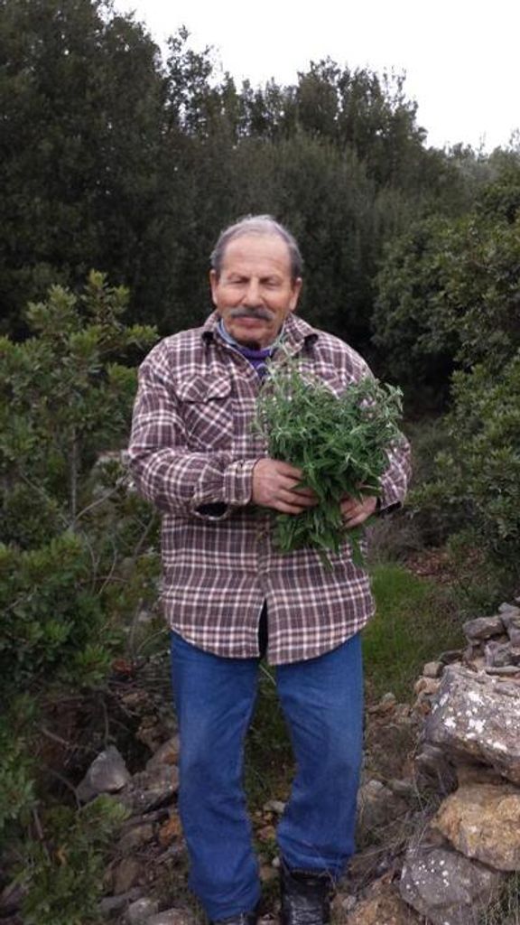 Dimosthenis I. Nikitas Profile Photo