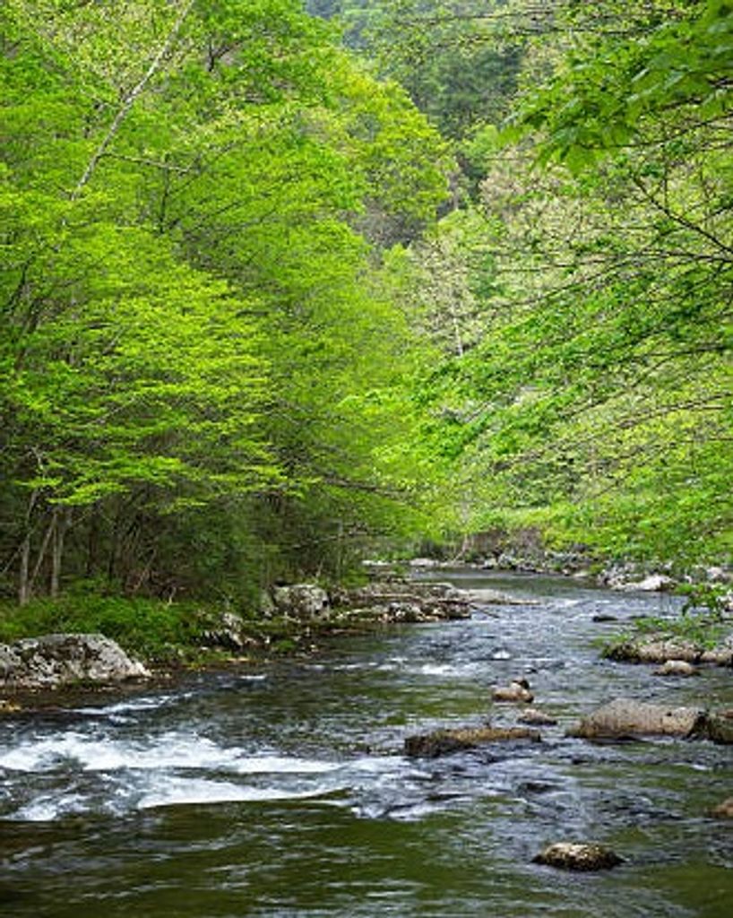 Carroll Dewayne Franks