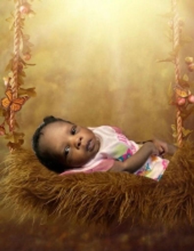 Bre'Asia Laneshia Wilkins