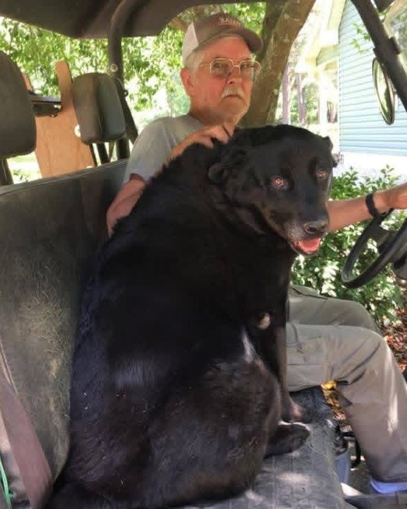 Paul D Moyer Profile Photo