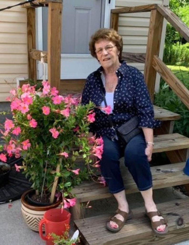 Diane M Quencer Profile Photo