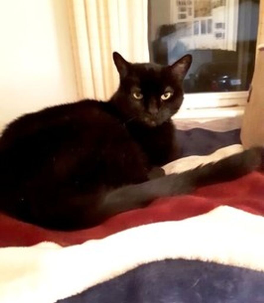 Maxee Sioux Hallberg Profile Photo