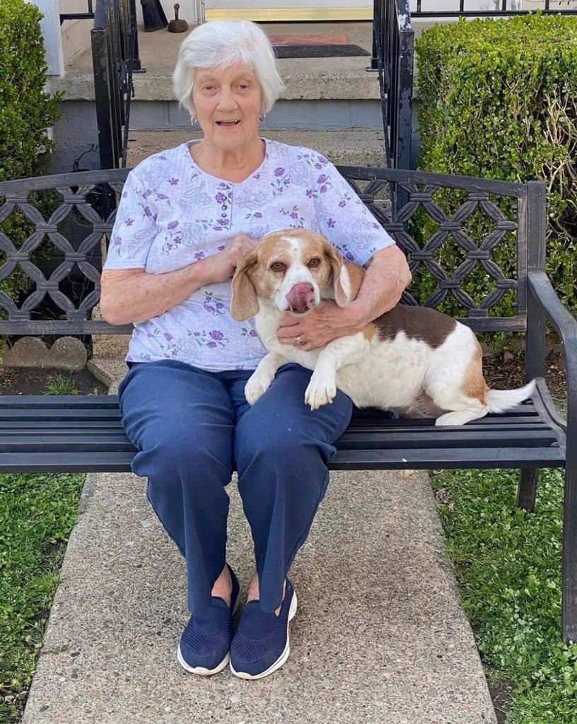 Ginger Handley Profile Photo