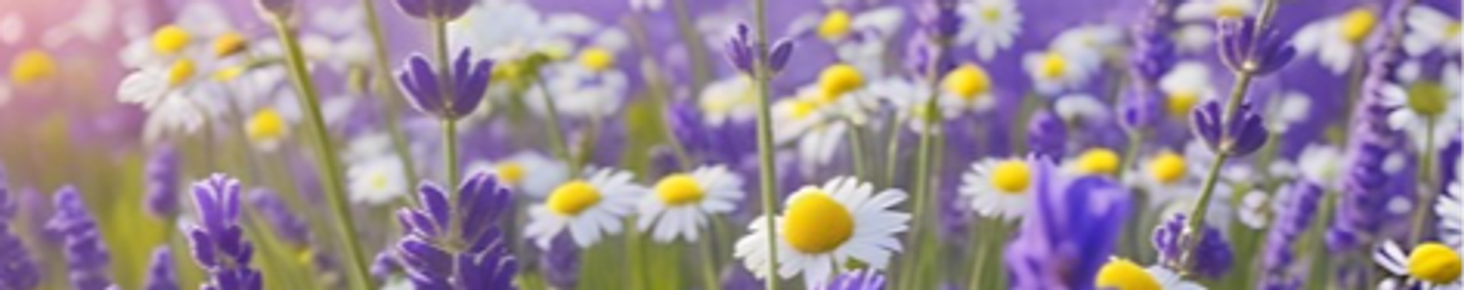Cover photo for Tara-Lynn Turner's Obituary