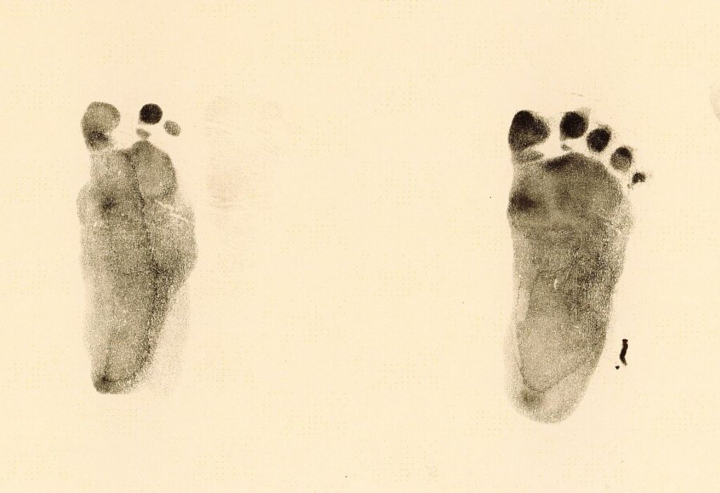 Rachel Rose Waggoner