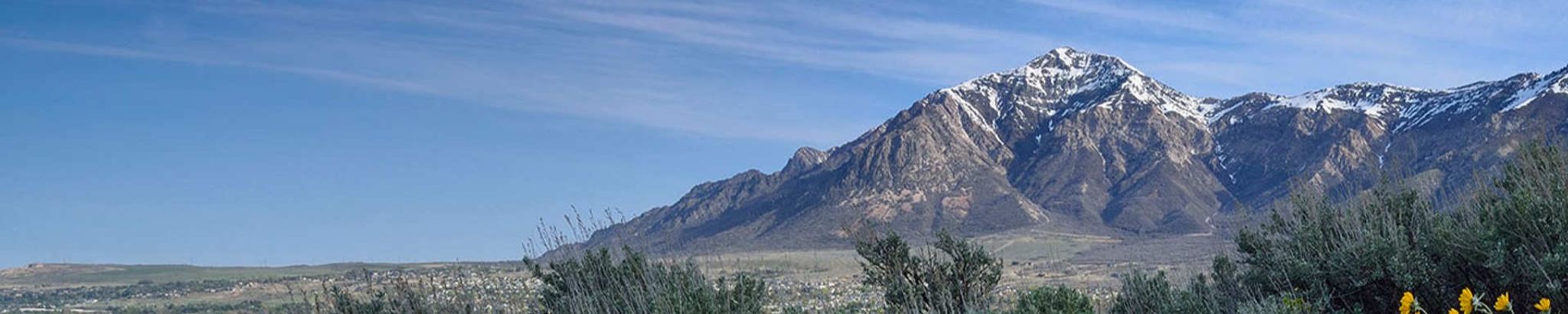 Cover photo for Oscar Arnoldo Palacios's Obituary