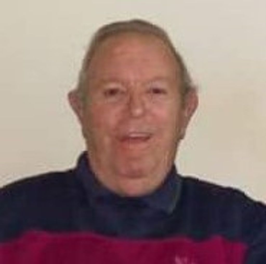 Domenic S. Iafallo