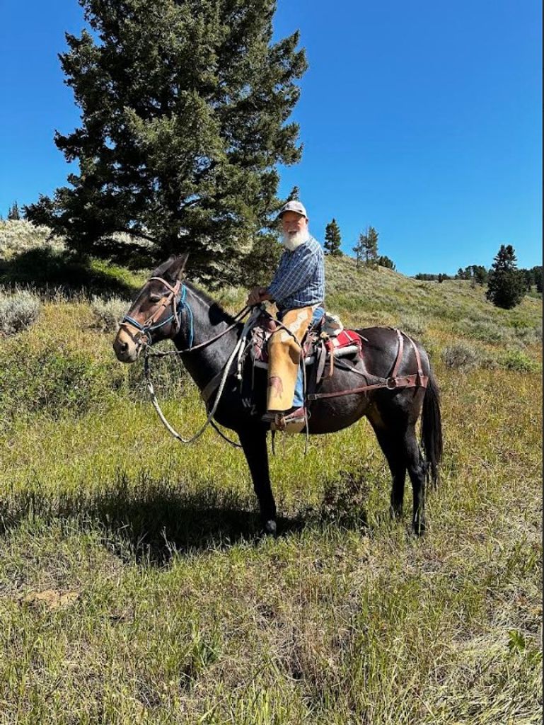 David James Mathson Sr. Profile Photo