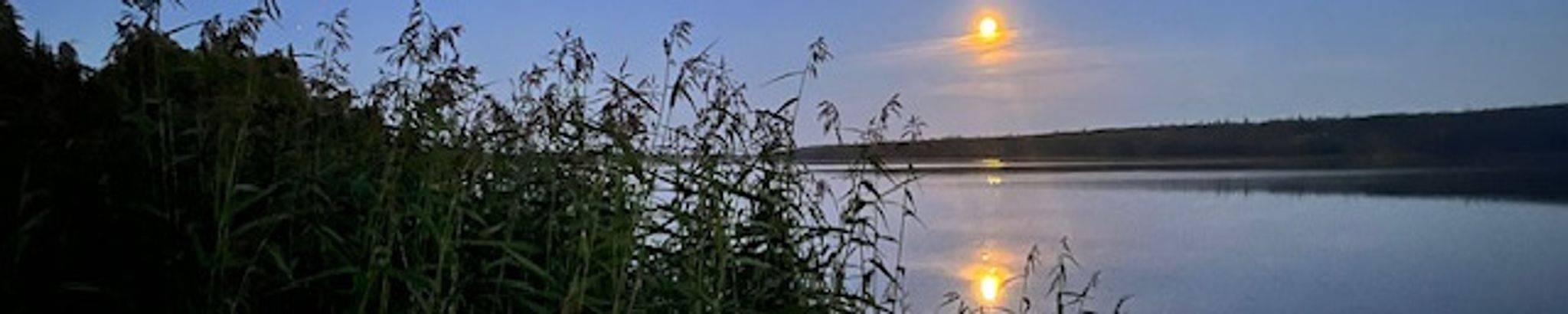 Cover photo for Leanne Lemon's Obituary