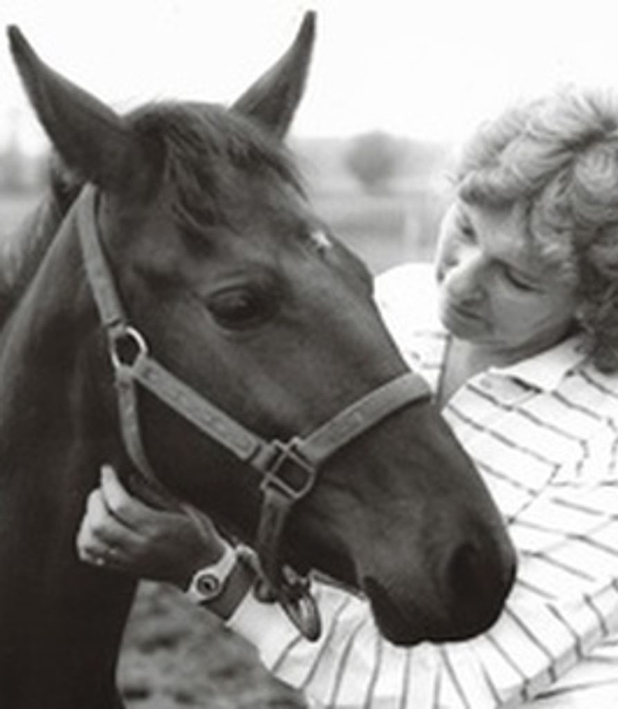 Elaine Niemi Profile Photo