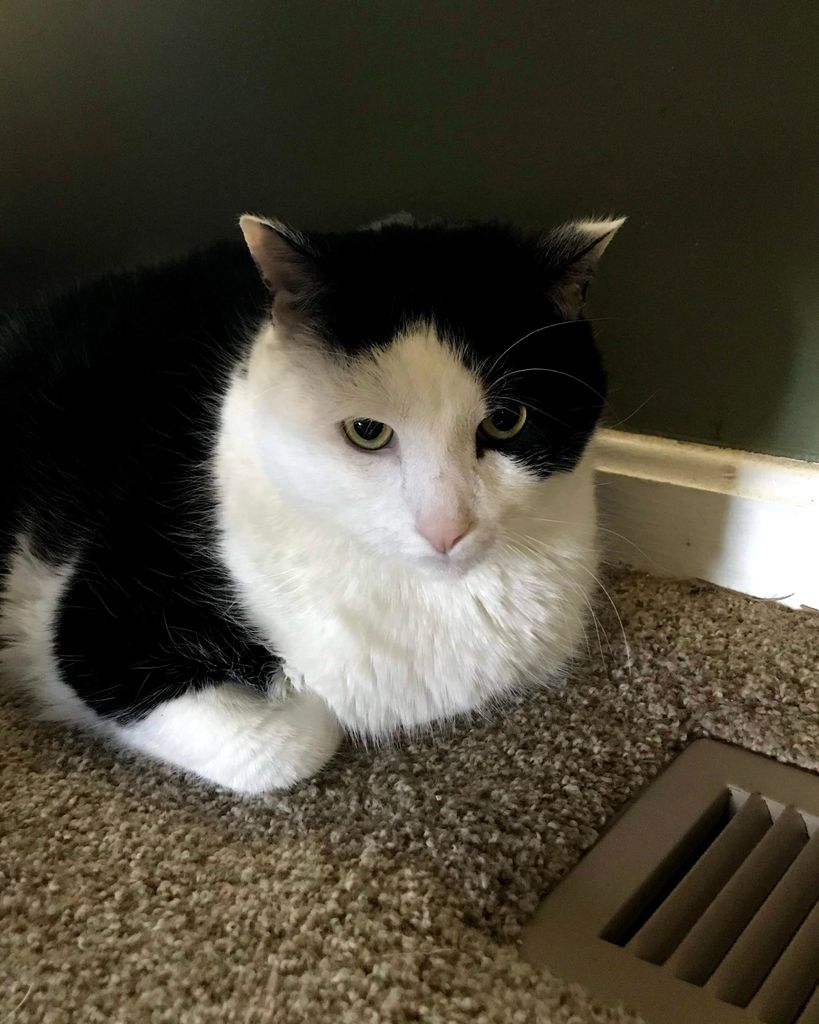 Buddy Orlando Profile Photo