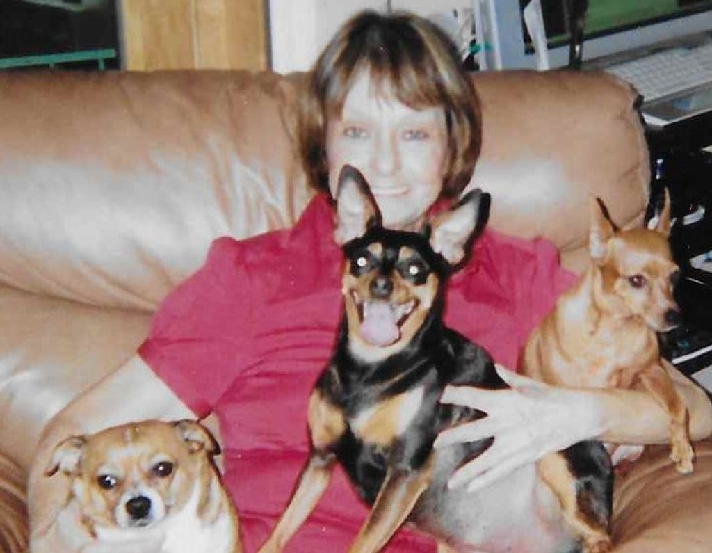 Sharon P. (Stambaugh)  Belanger Profile Photo