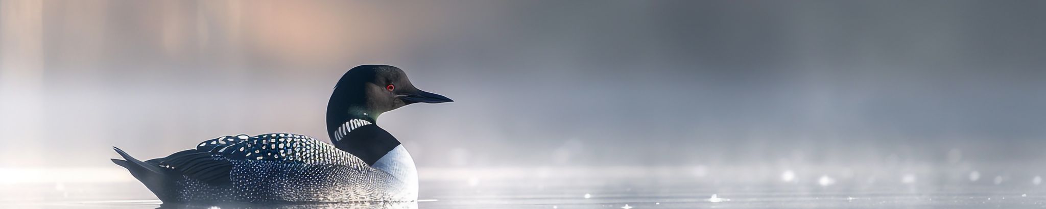 Cover for Shirley J. Coates's Obituary