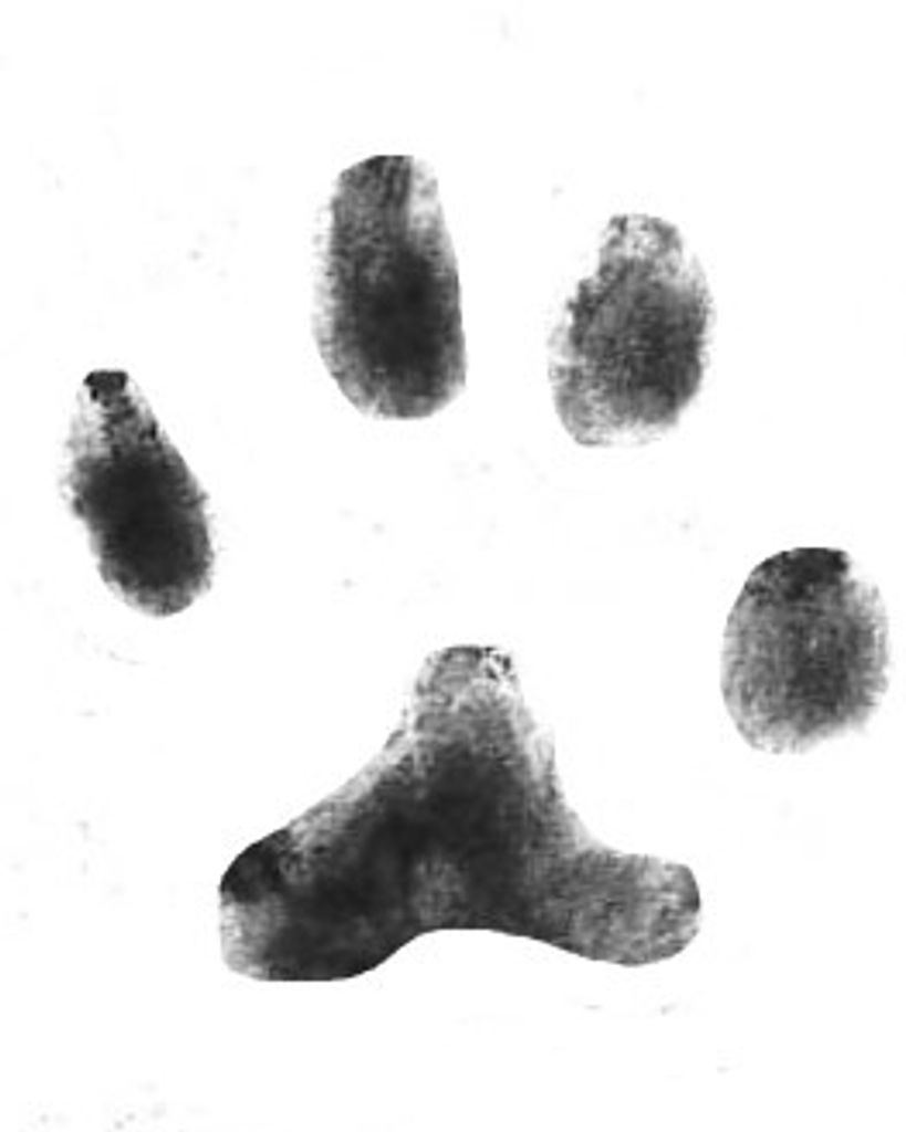 Thomas Van Horn Profile Photo