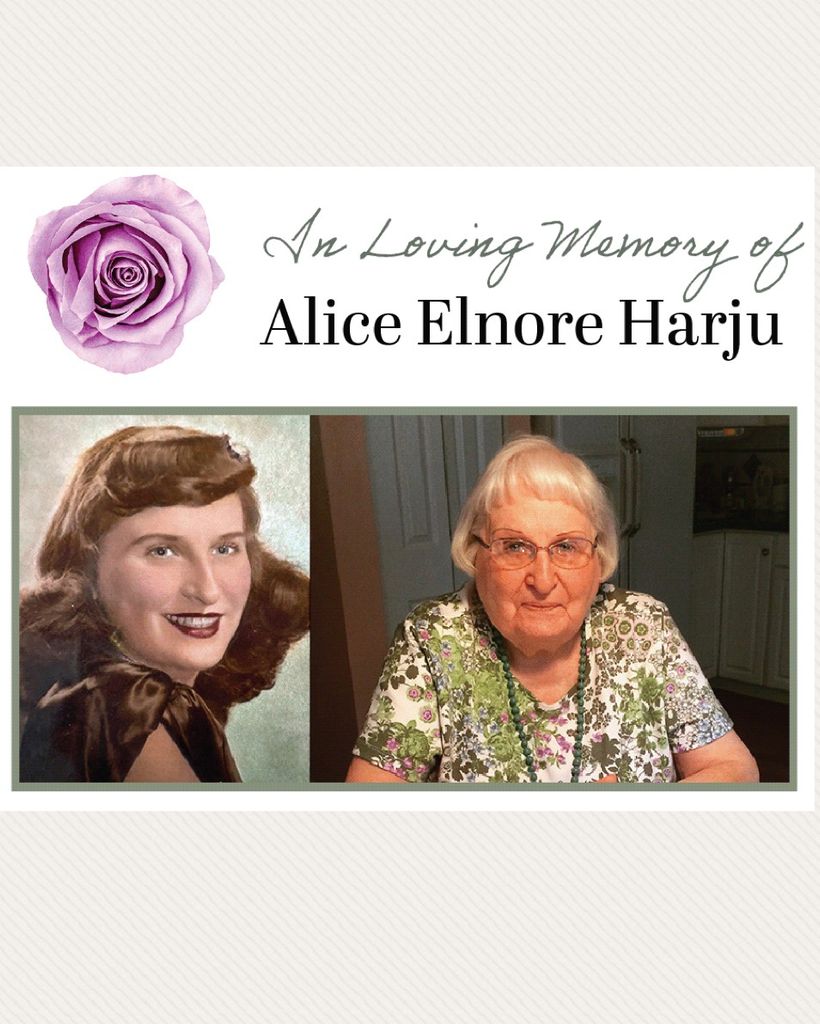 Alice Elnore Harju Profile Photo