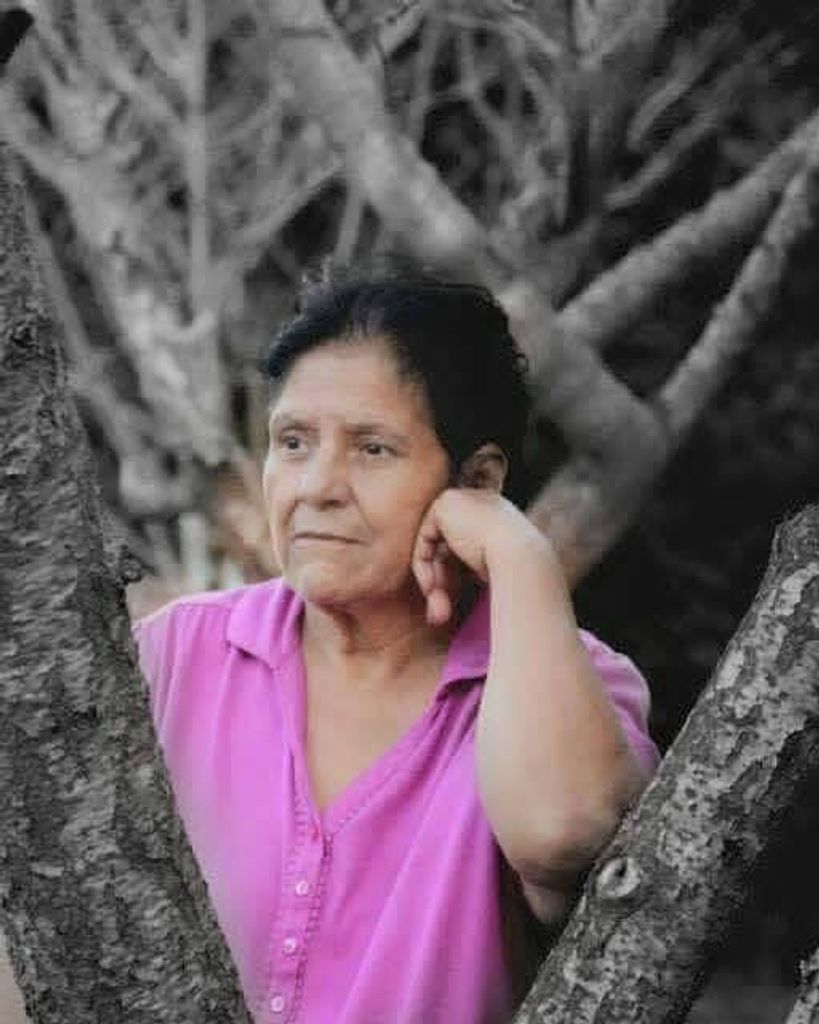 Gloria R. Talamantes Profile Photo