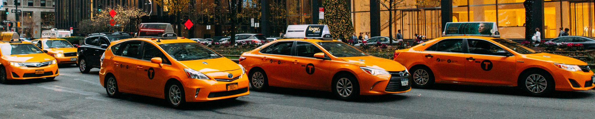 Cover for Anthony P. Bertini's Obituary