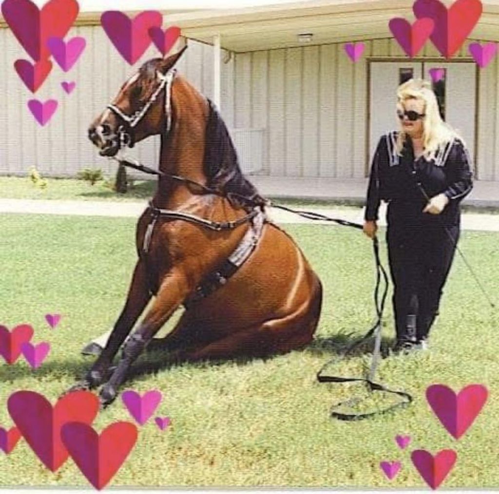 Jana Lynn Searle Profile Photo
