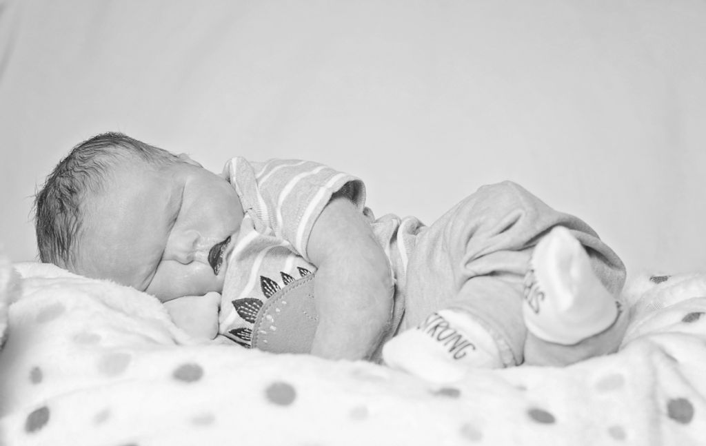 Sabastian Everhett Trout Profile Photo