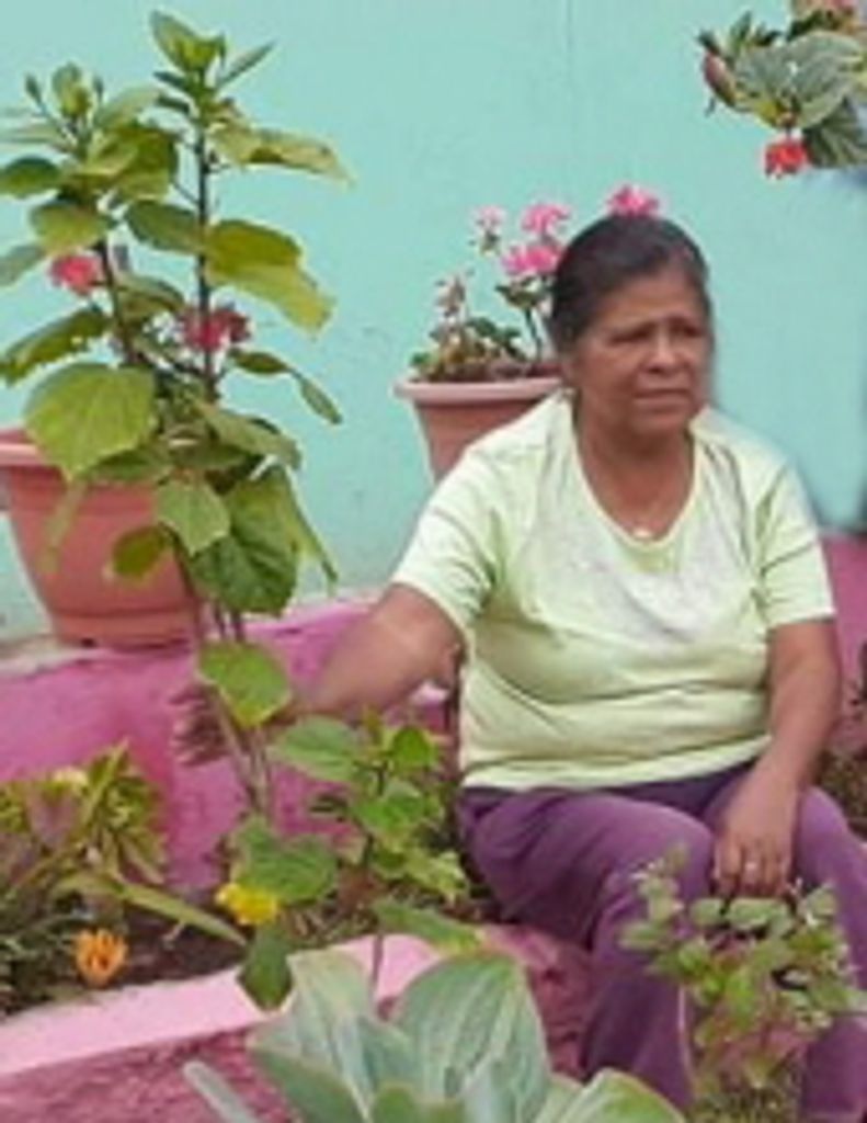 Maria Herlinda Cazares