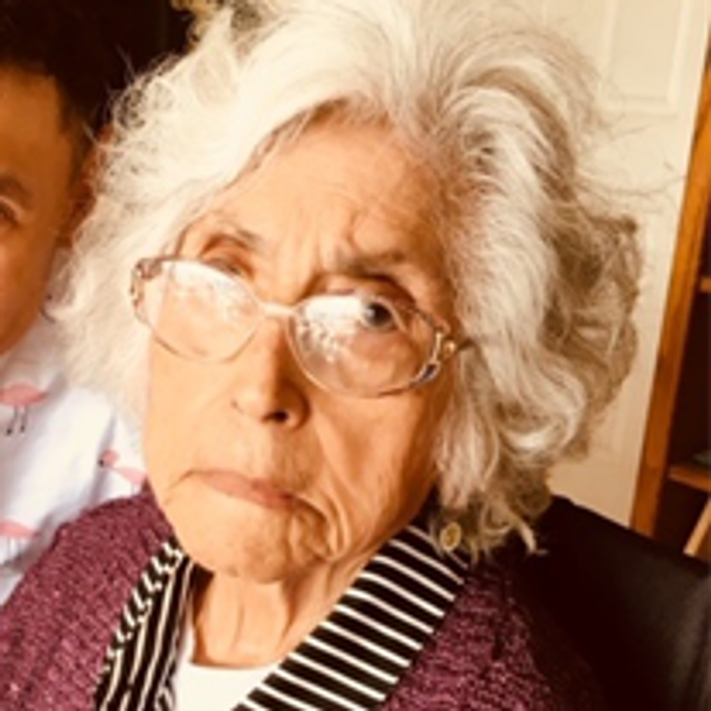 Virginia Santillan Ruiz