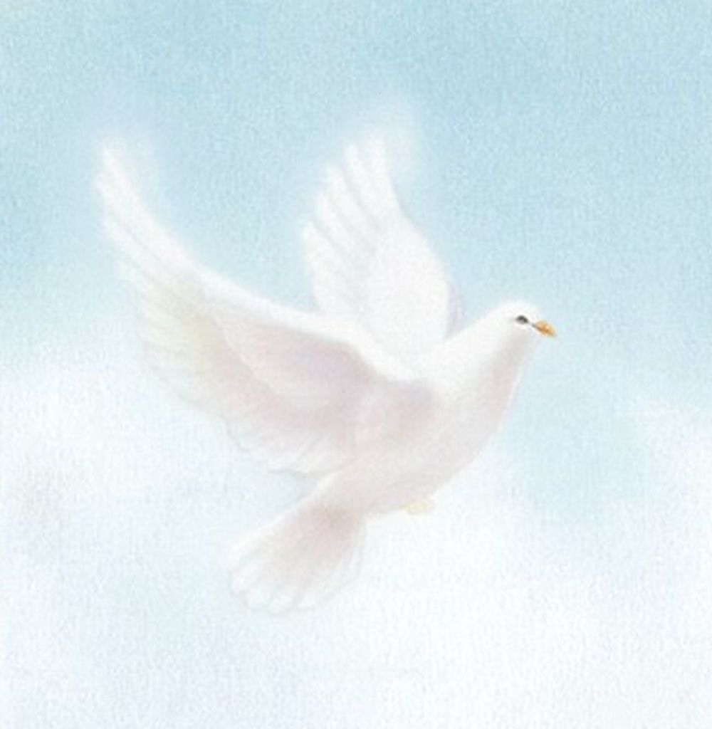 Pearl Elizabeth Johnson