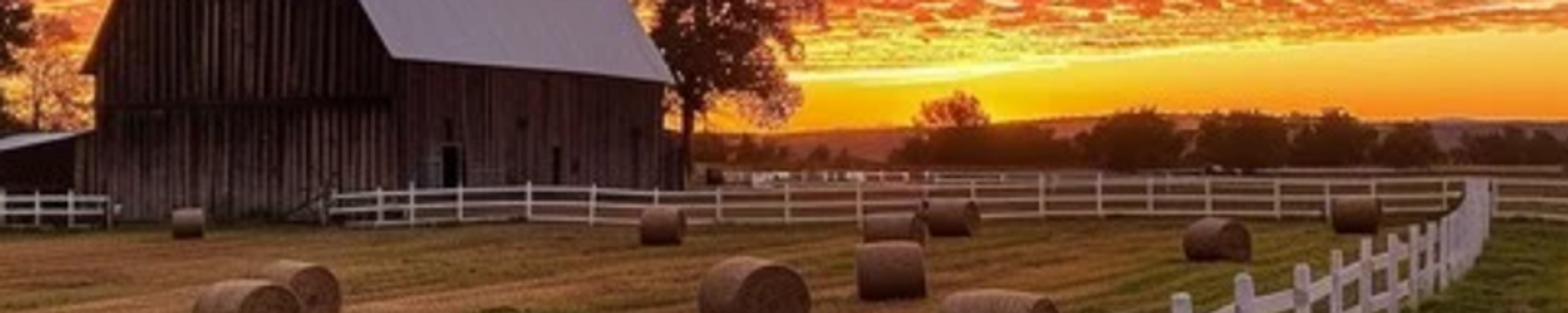 Cover for Martin Anthony Ruiz's Obituary