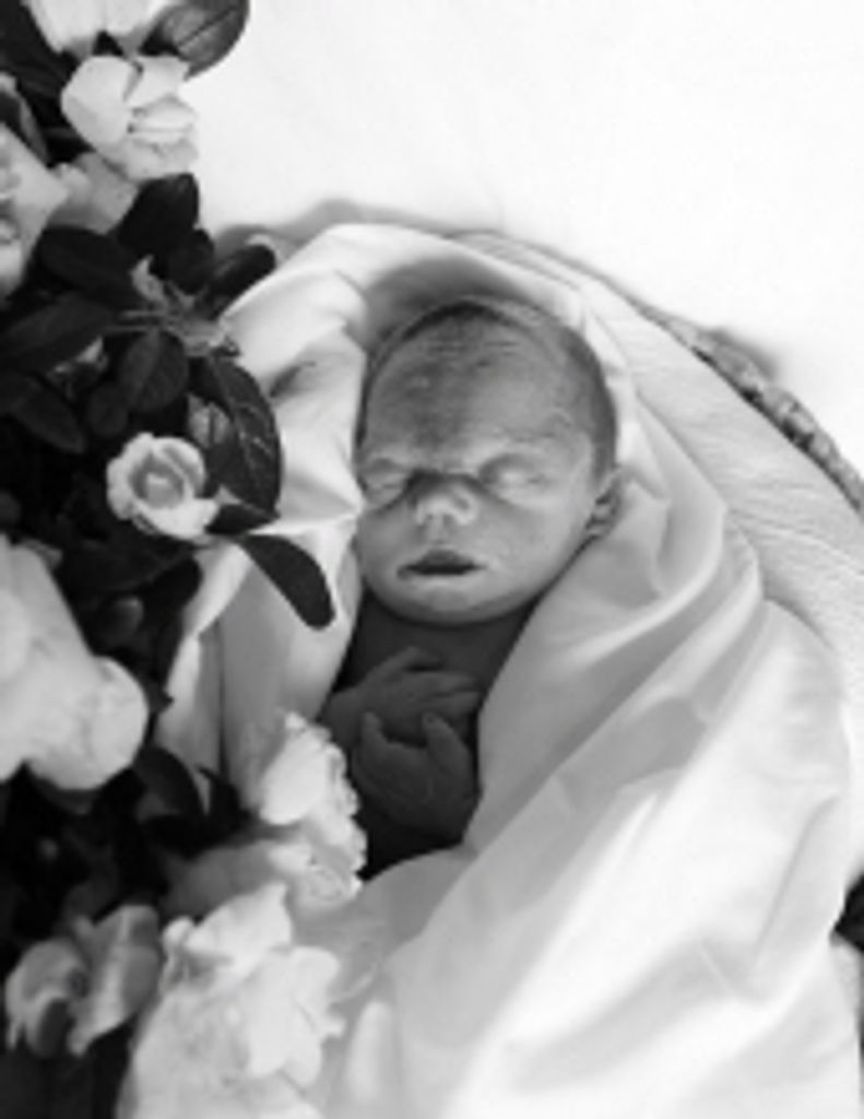 Addison Rose Seppala