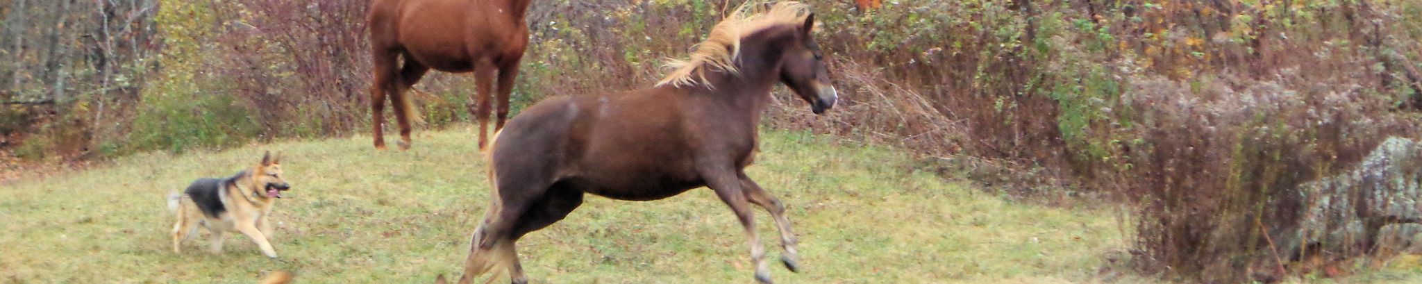 Cover for Barbara C. DuVarney's Obituary