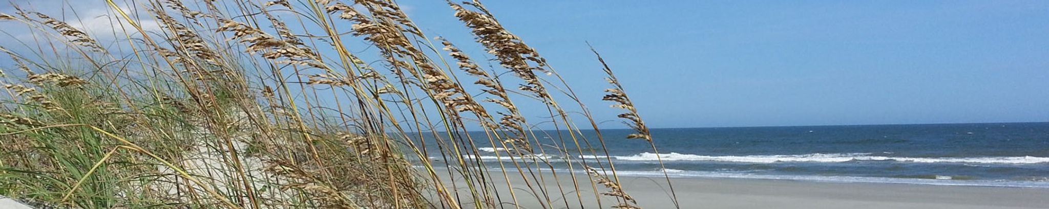 Cover photo for Julie Mary Pickerill's Obituary