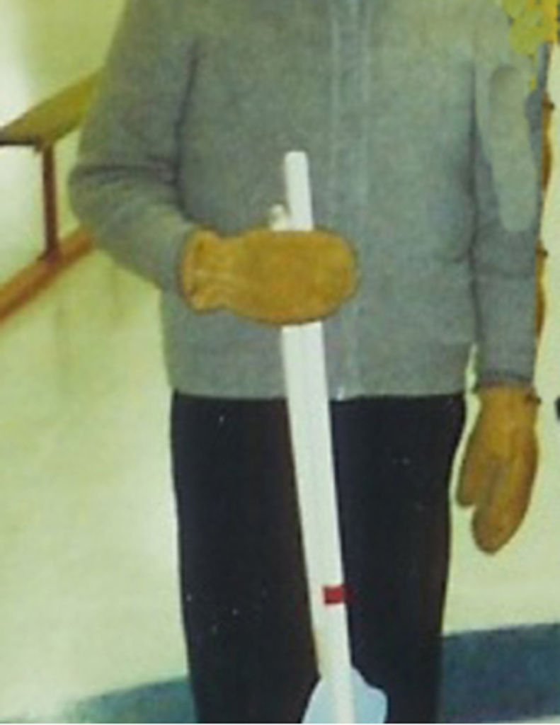 Elmer "Elmer {Emmer} Bergman" Bergman