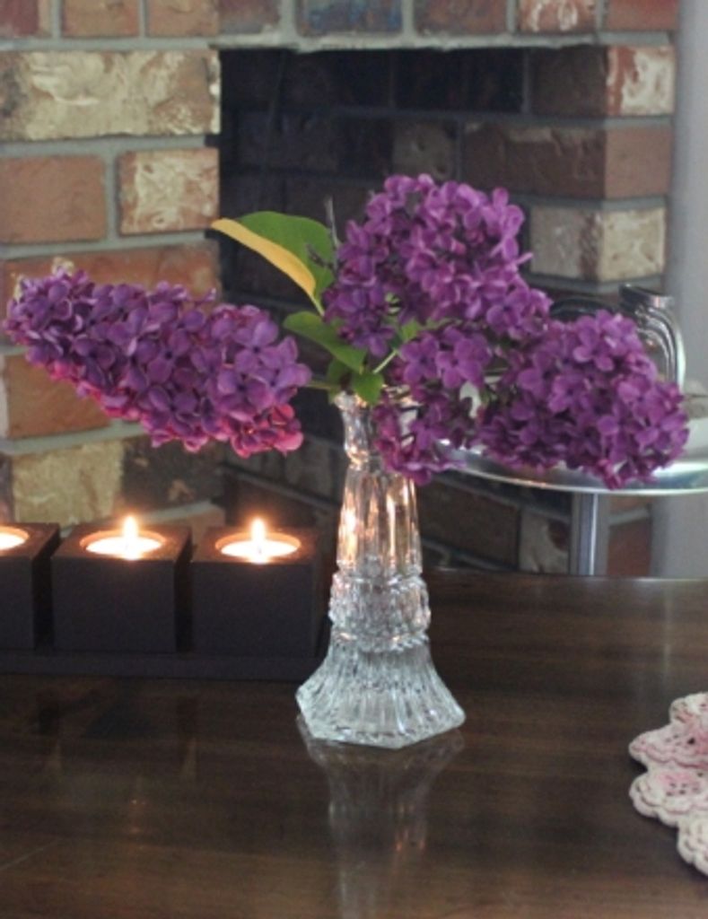 Christine Rosemarie Hayes Profile Photo