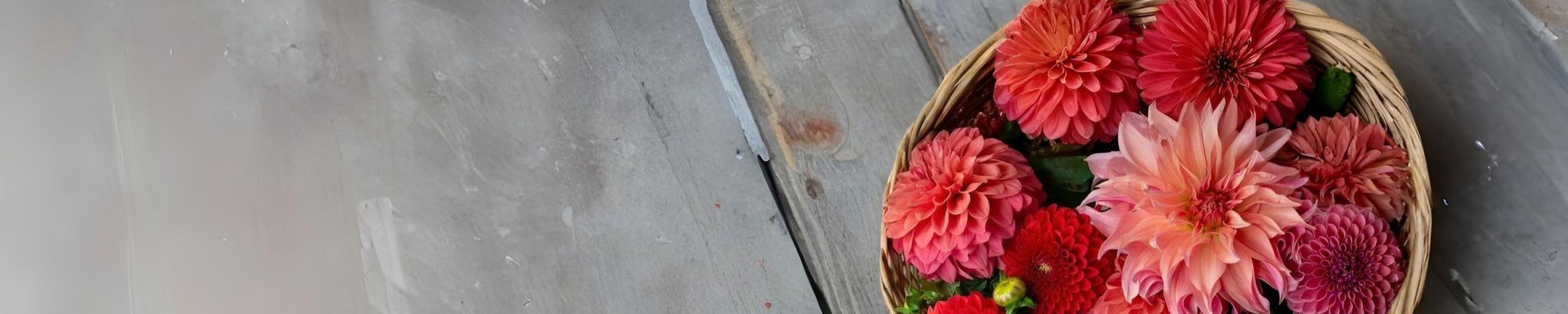 Cover for Mildred Grasty Mull's Obituary