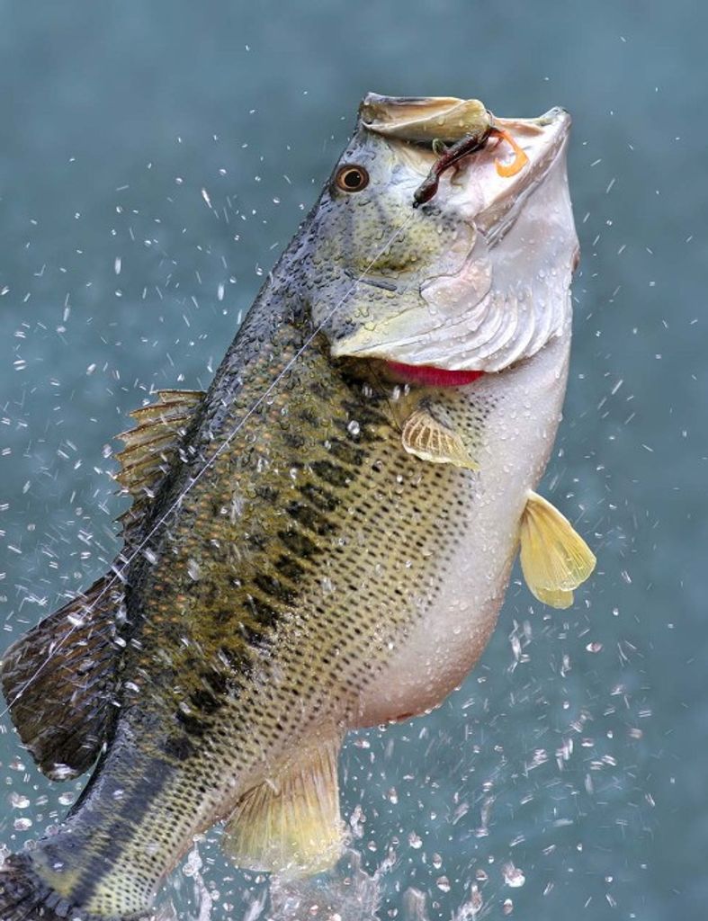 Charles "Chuck" Floyd Clark