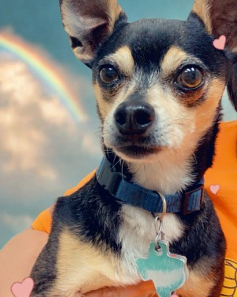 Grimace Ligon Profile Photo