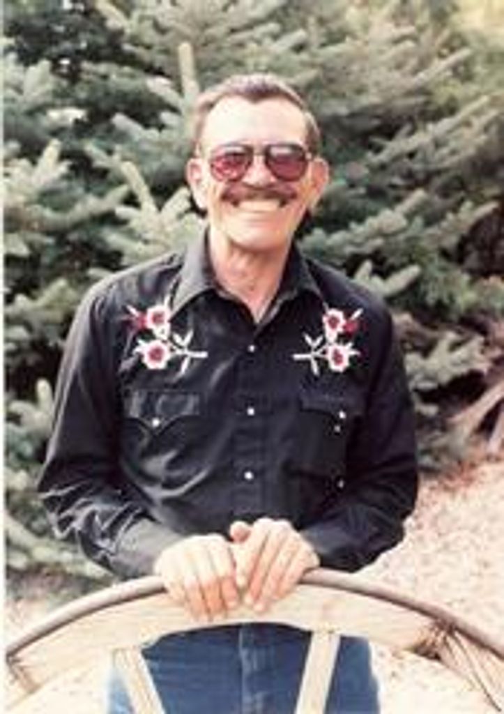 Wayne Plumb Profile Photo