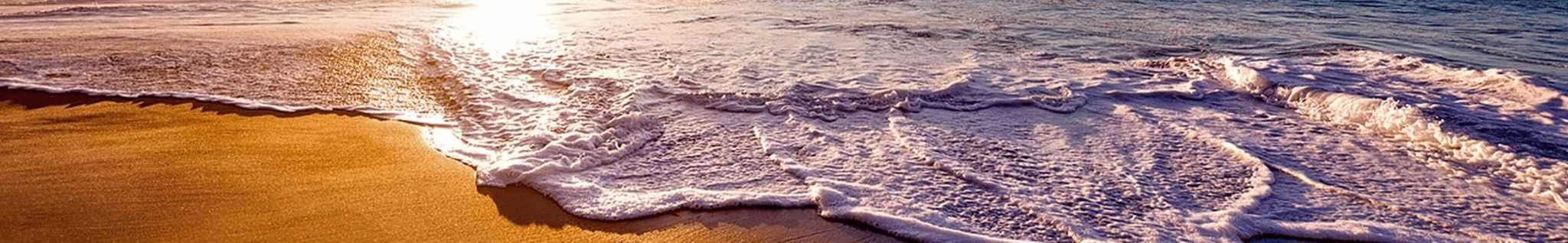 Cover photo for Elizabeth A. Law's Obituary