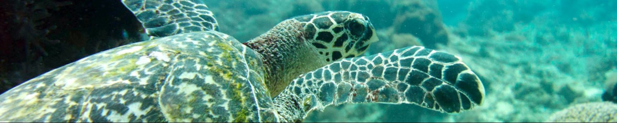 Cover for Mary M. Such's Obituary