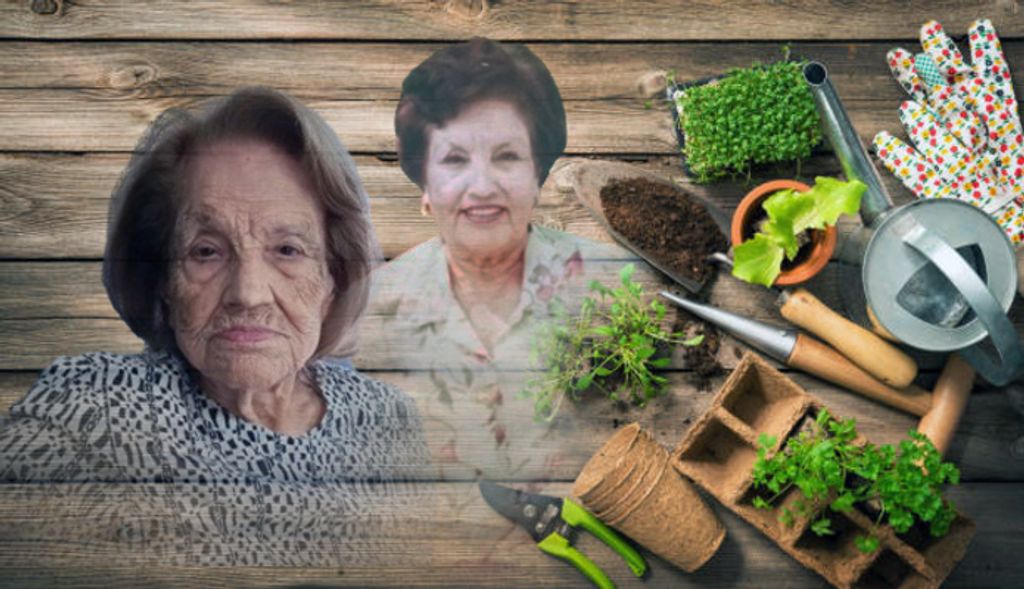 Dolores S. Perez Profile Photo