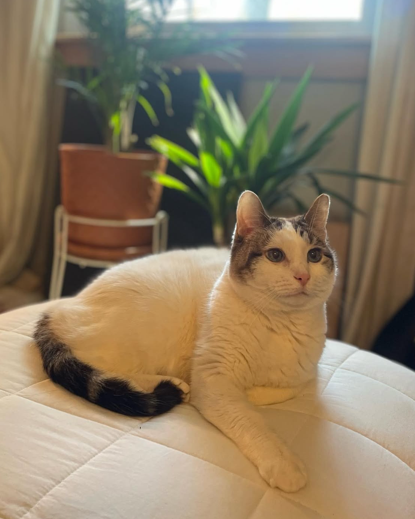 Duncan Profile Photo