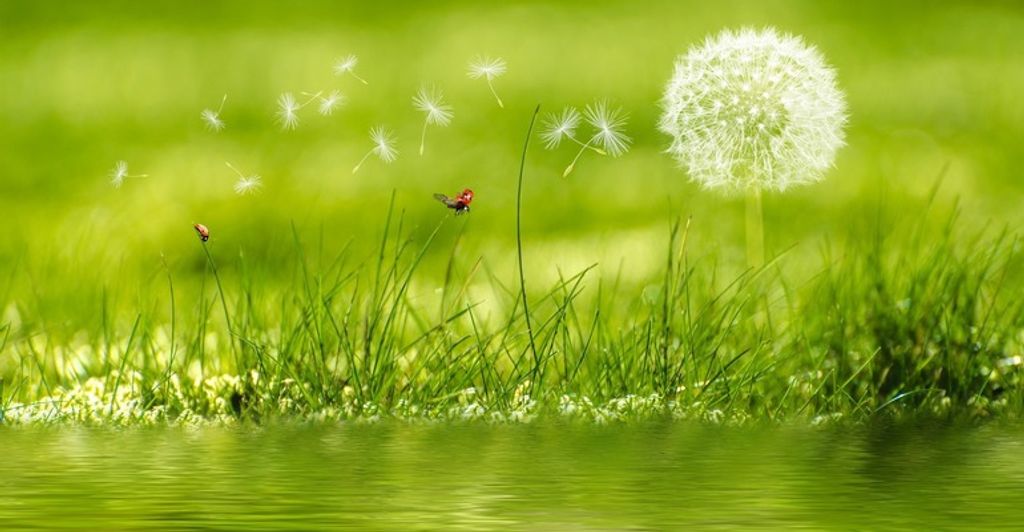 Jewell V. Martin Profile Photo