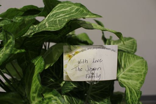 Lori Jean Gaulrapp photo gallery thumbnail 2 of 41