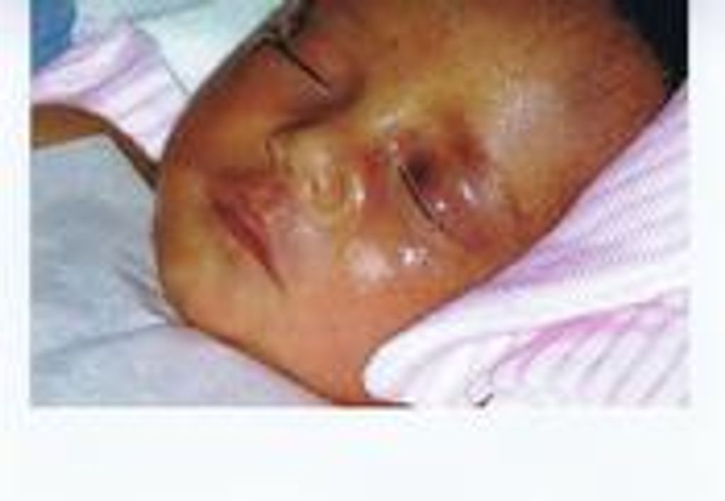 Meri Alani Collins Profile Photo