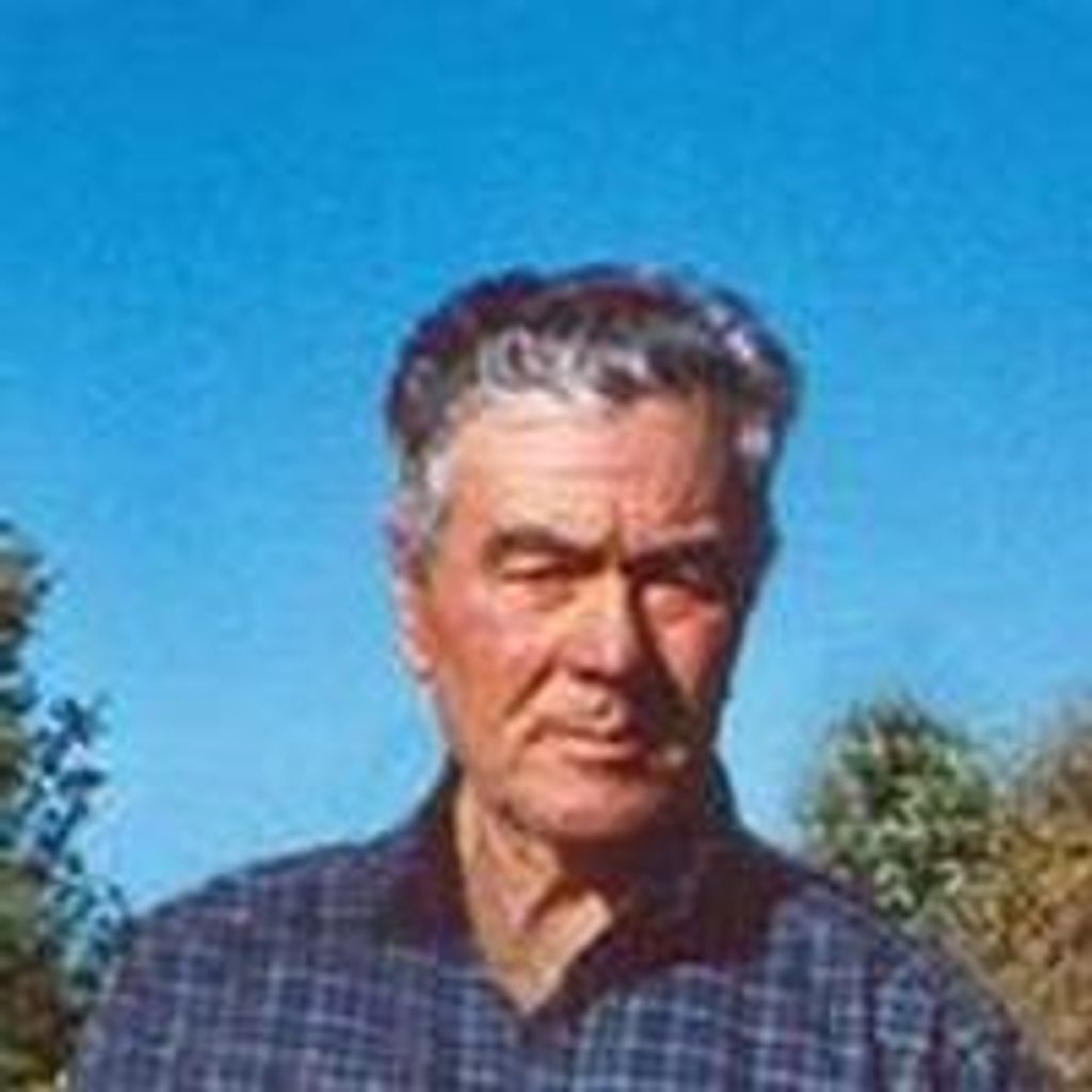 Pietro Torrano