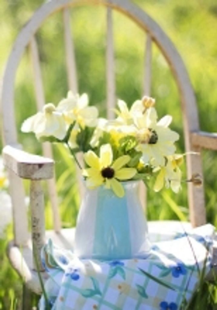 Vicki Reimer Profile Photo