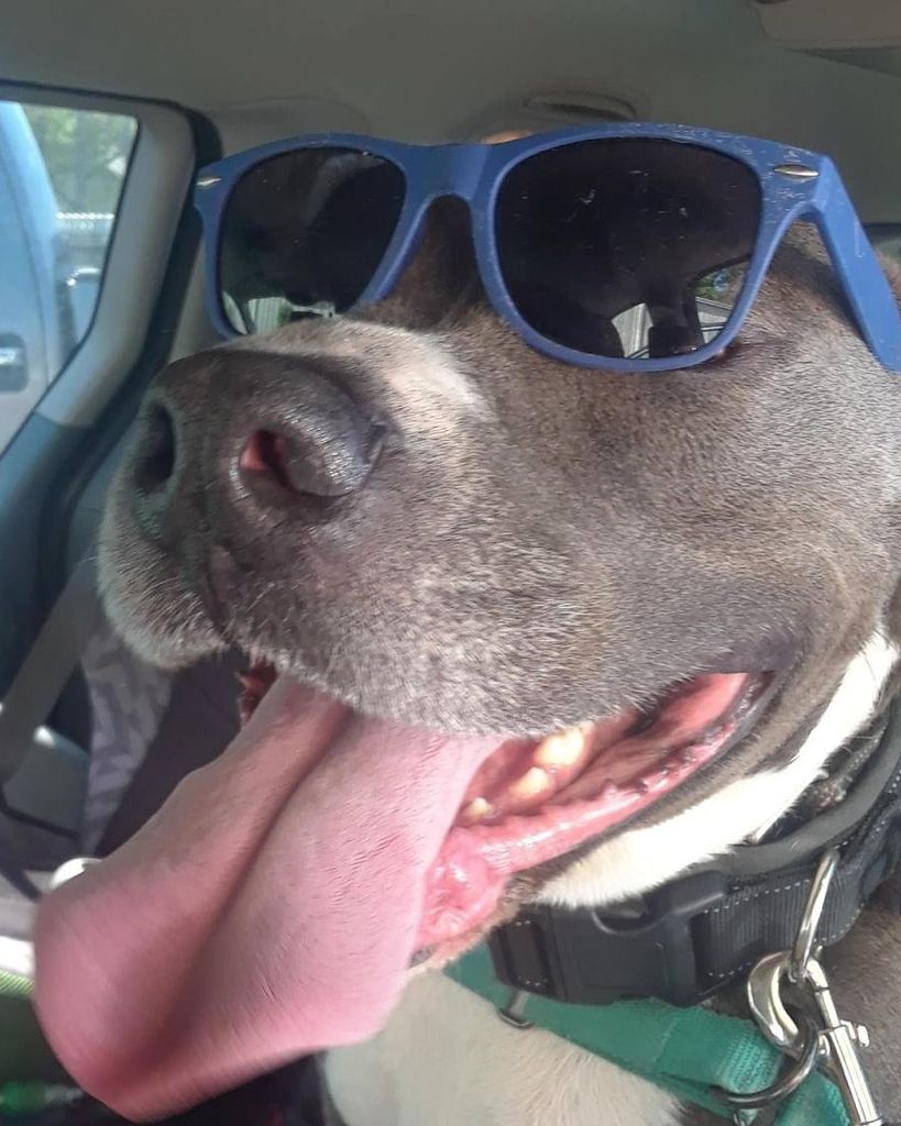 Gage Thibodeau Profile Photo