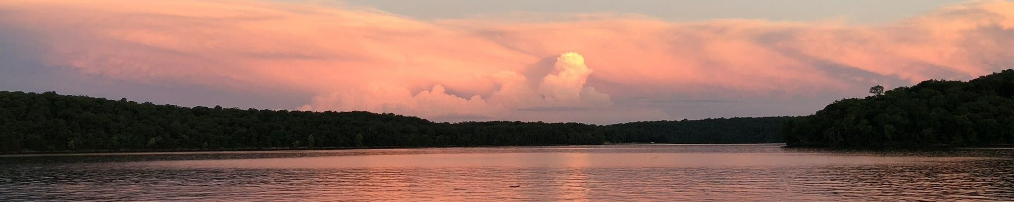 Cover photo for Susan Ann (Strobl) Burrus's Obituary